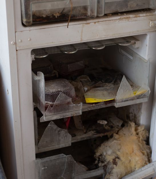 Was beim Kühlschrank Entsorgen in Berlin zu beachten ist